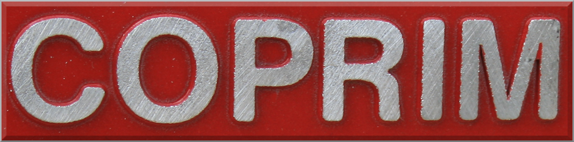Ipsum